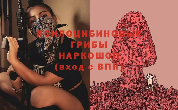 трава Арсеньев