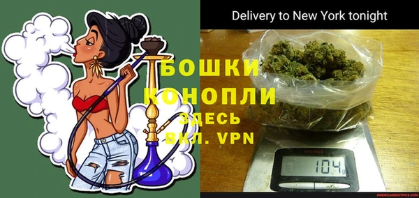 трава Арсеньев